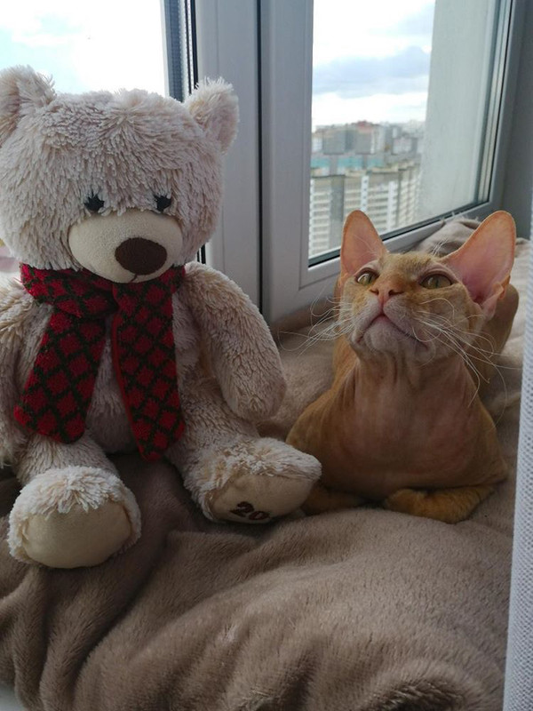 2FFA097D-1AF0-4A47-81B3-5168FF485400