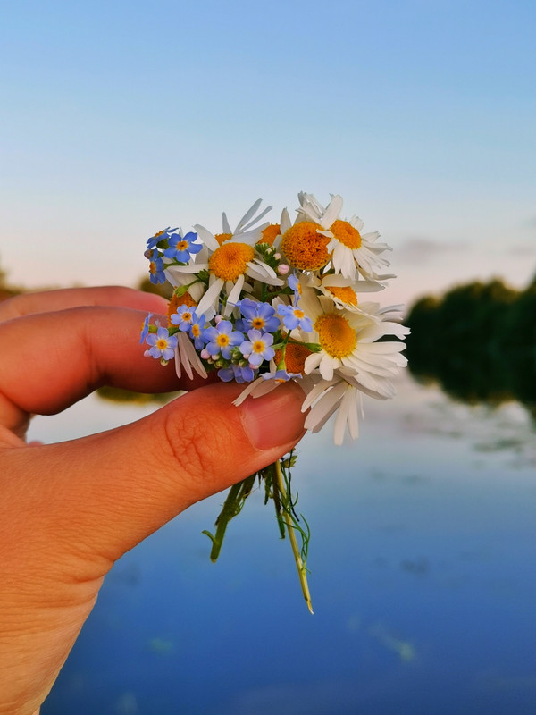 IMG-20220725-203054-02