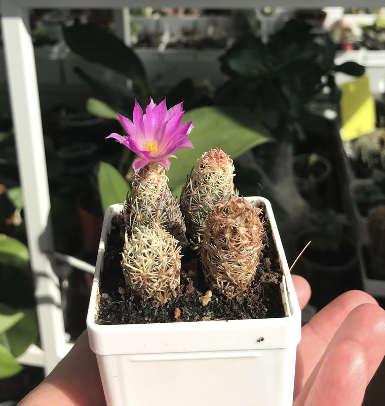 95B305EC-99AD-4DB8-8E59-3E5B797E6E43