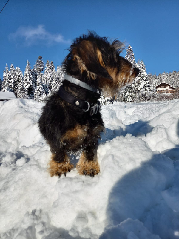 [Image: IMG-20210104-WA0001.jpg]