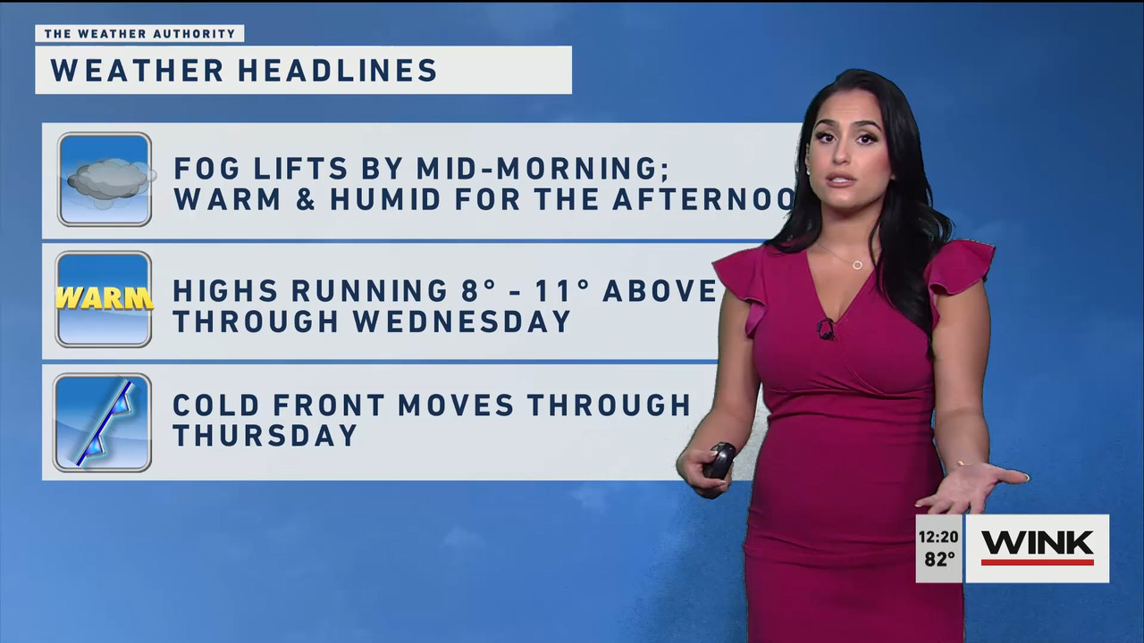 01.02 - 17.00.00 - The WINK Noon News  ᴺᵉʷ. Midday news update..ts_snapshot_26.31.439
