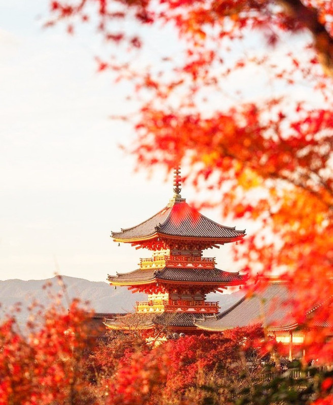 Screenshot_20231208_222035_Instagram