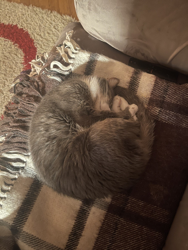 465EEA25-1D1C-4BE5-8ED7-6E7E81979CE6