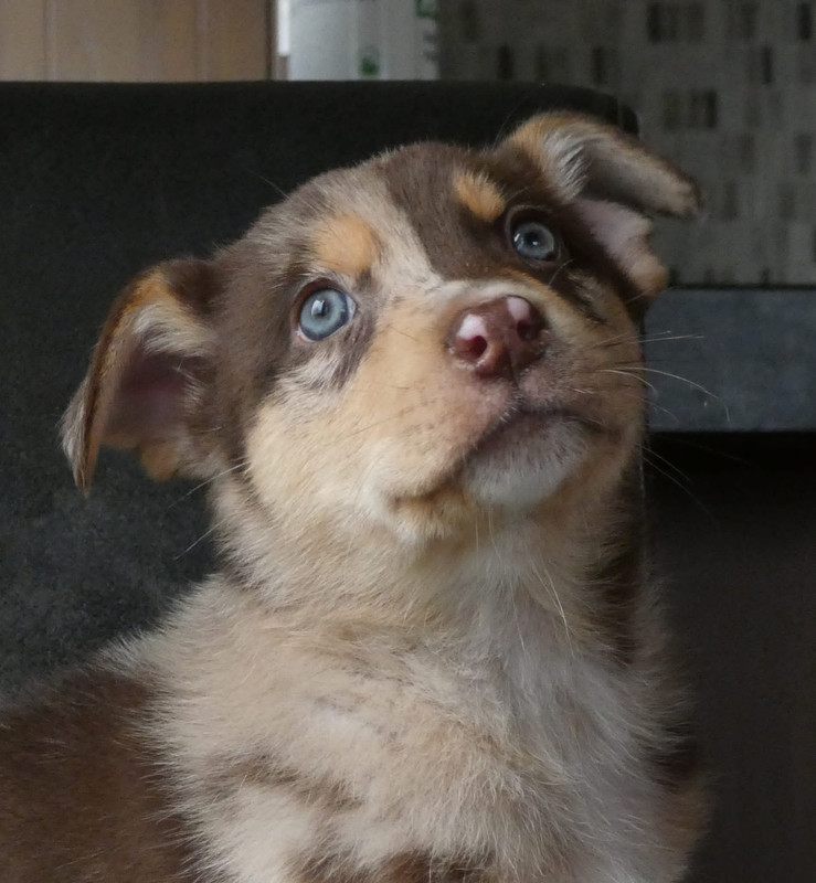 E10E918C-646B-49E2-BEBE-332753BE5DC8