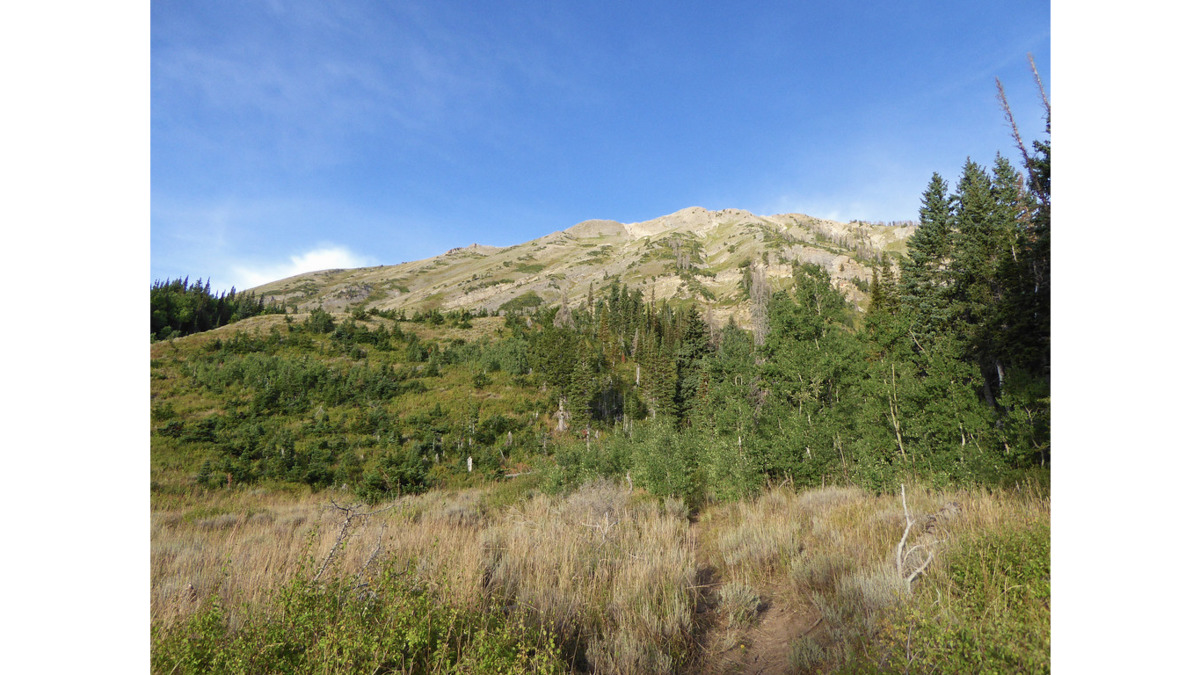 Peak-A-Week: Mount Nebo