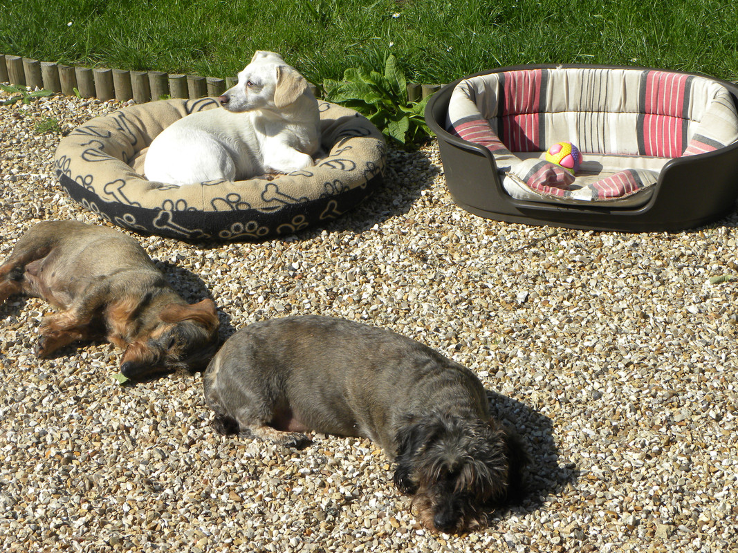 [Image: DSCN9766.jpg]