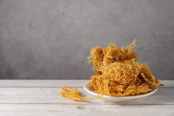 sea moss supplement