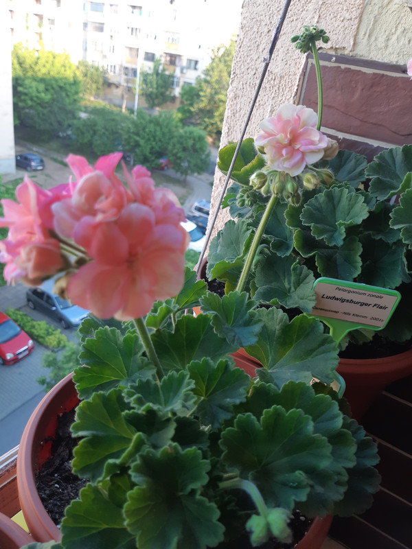 20190519_065024