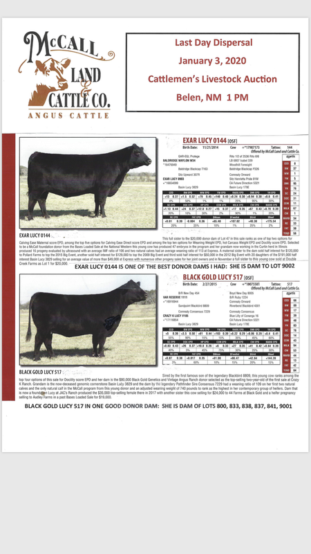 EC6BC27D-2D1D-4607-93C3-32E9666004EB