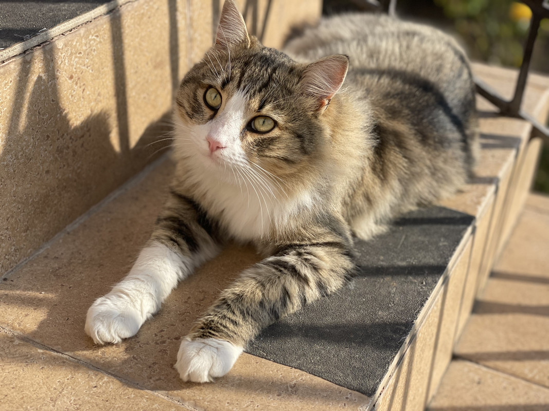 1EED9408-367B-4BEC-95B0-EF498F7C63E4