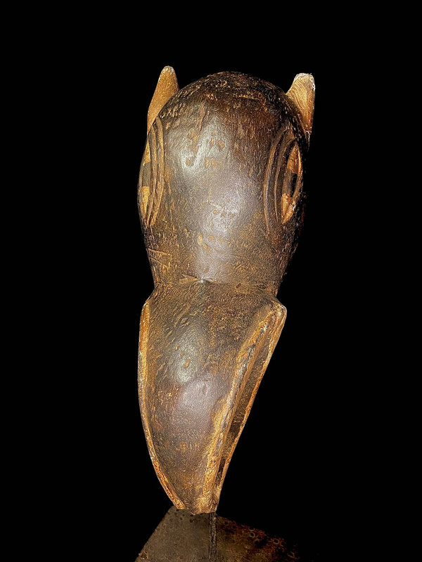 large image 6