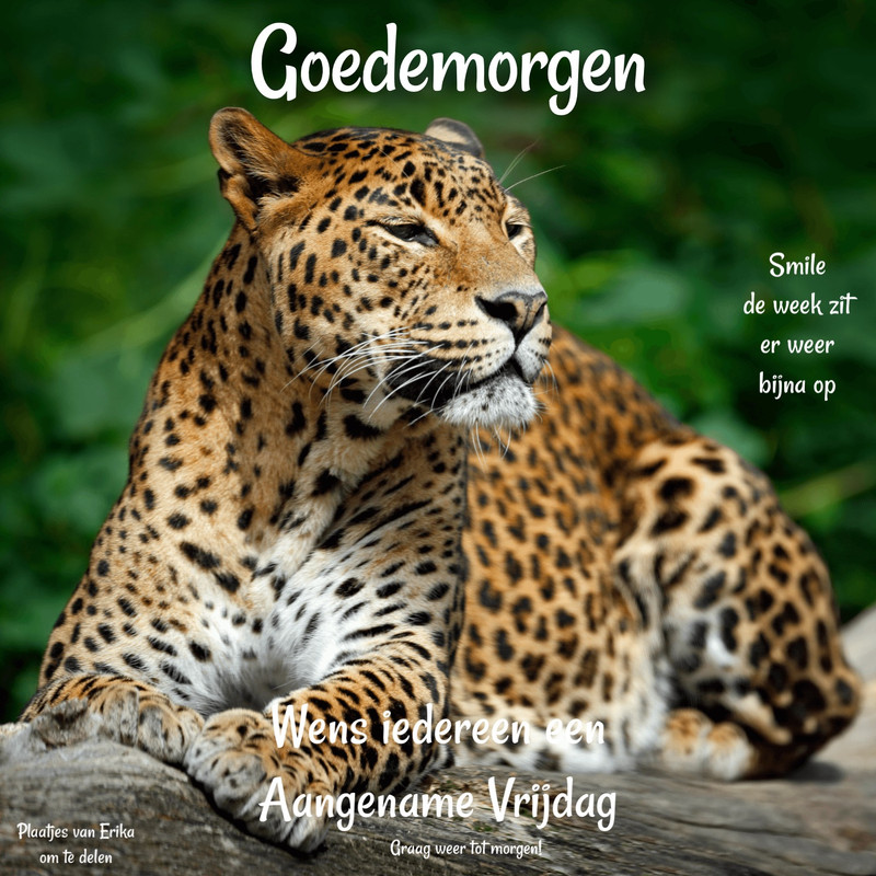 2795F98E-2C06-43C4-821C-1C8A5DF16881