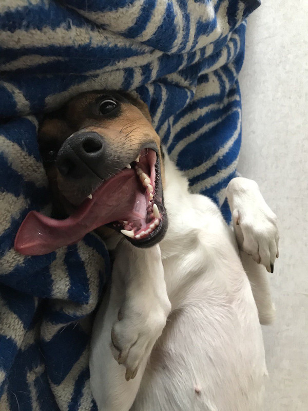 43C1941E-AEE0-48B2-811A-98F52EAC1363