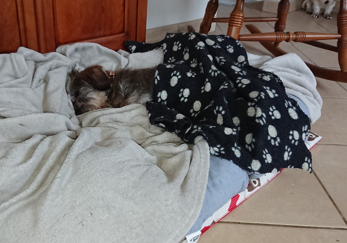 [Image: 20240203-140907.jpg]