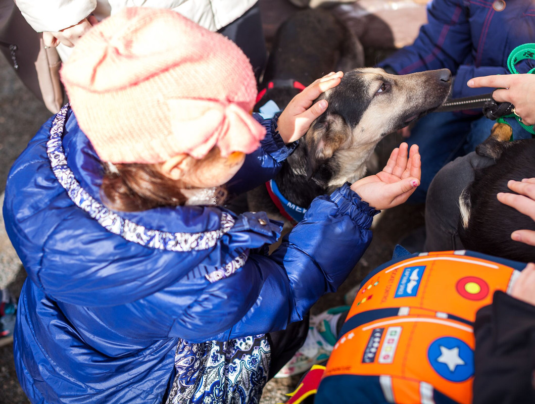 78F526C1-AC27-4A41-BBC7-1FEDB5DF7481