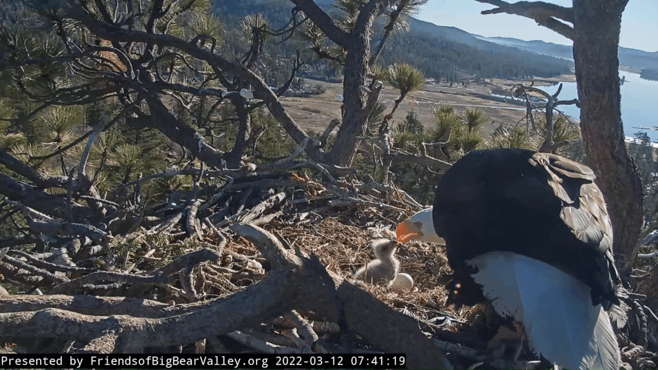 Webp.net-gifmaker (4)