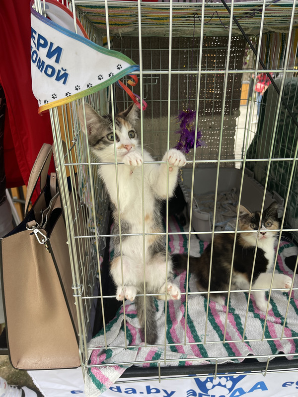 2D98417F-AC64-4192-84EC-31D8E3752EFF