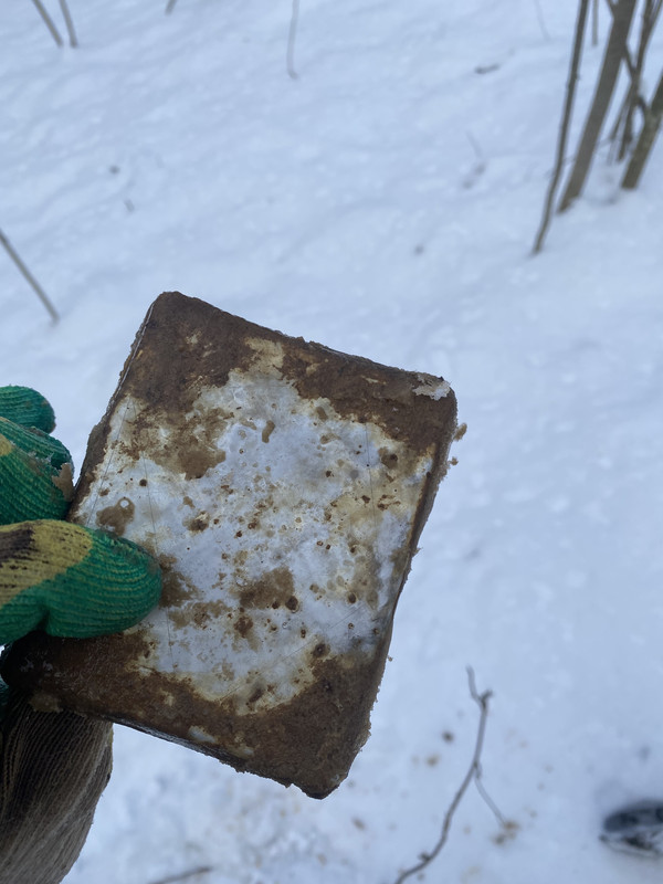 62C45603-FE04-4455-888D-BE22C95F8CE4