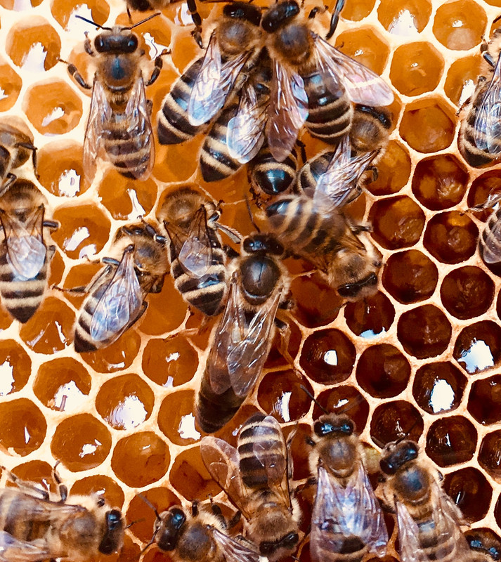 C00AFA78-8499-466D-9670-05093A337A95