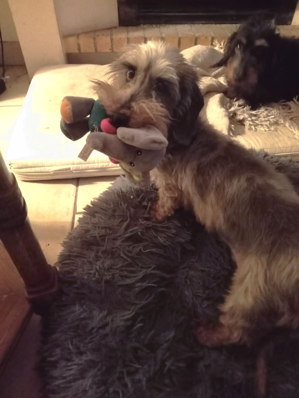 [Image: IMG-20241217-080713.jpg]