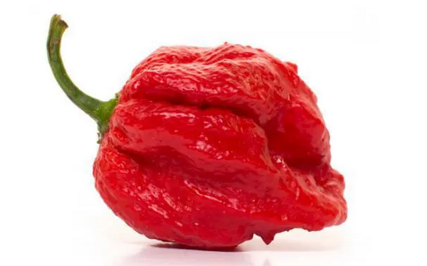7 Pot Barrackpore