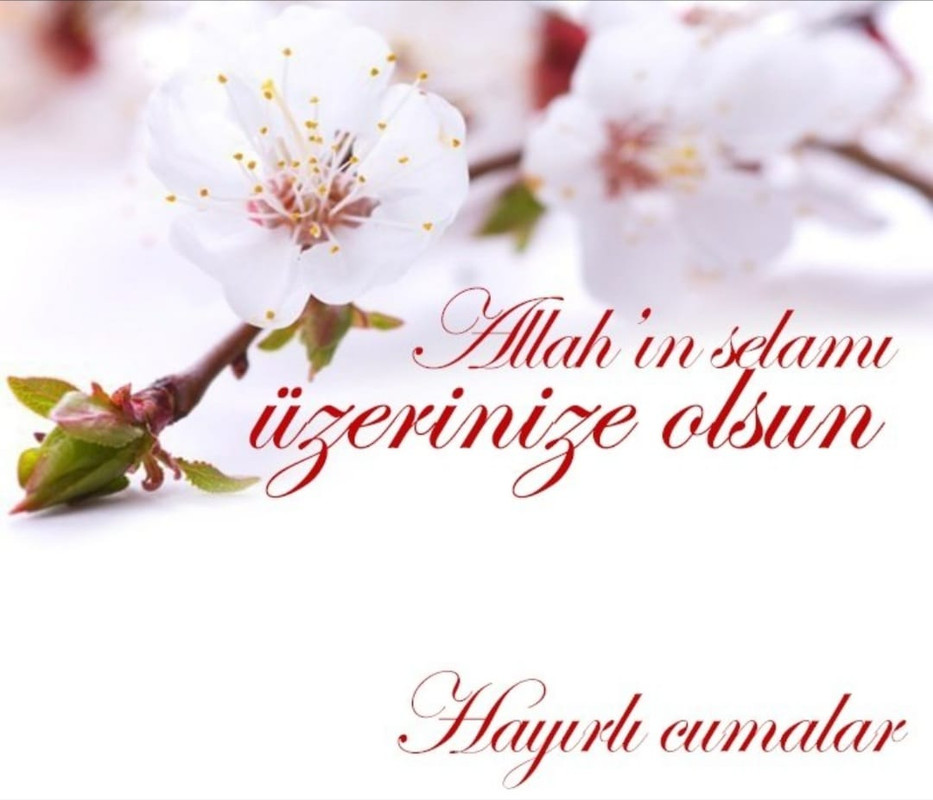 resim
