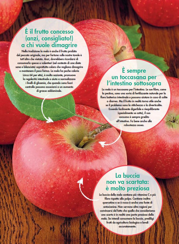 Alim Nat Feb 2022 (4)