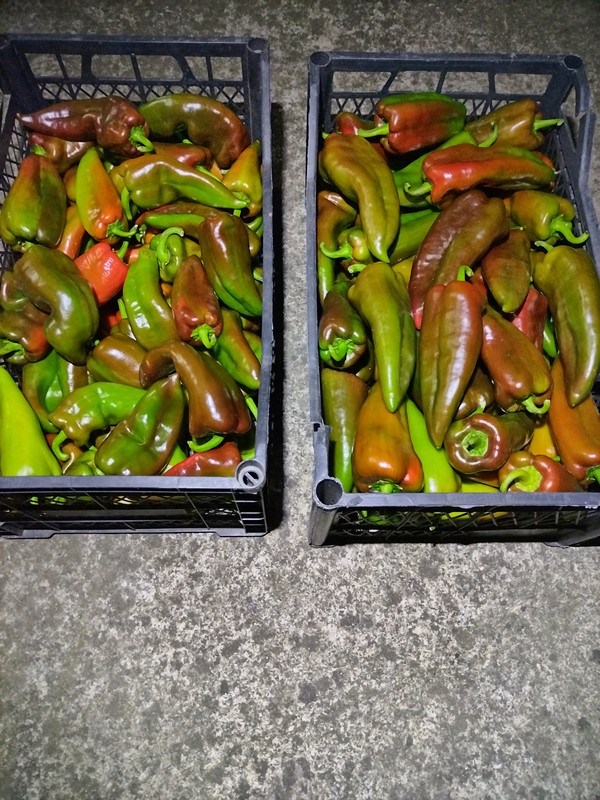 IMG 20260821 213832