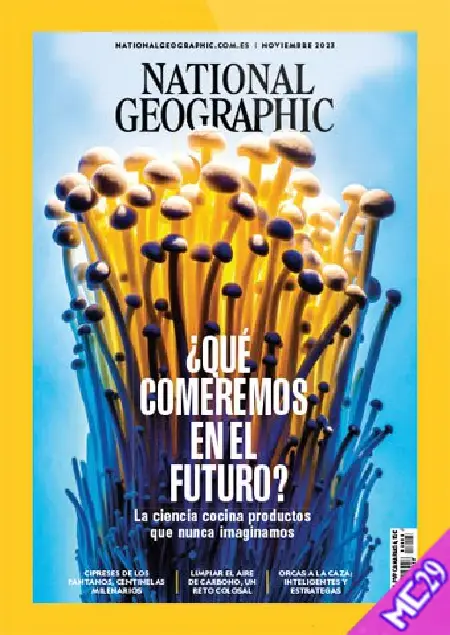 National-Geographic-Espa-a-Noviembre-2023.webp