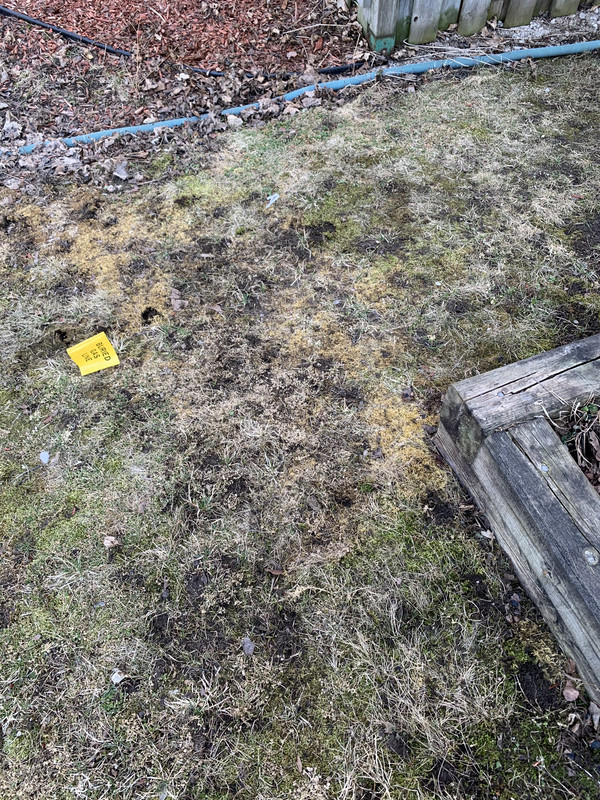 444483FA-7511-482A-8DDB-92BEF56083B7