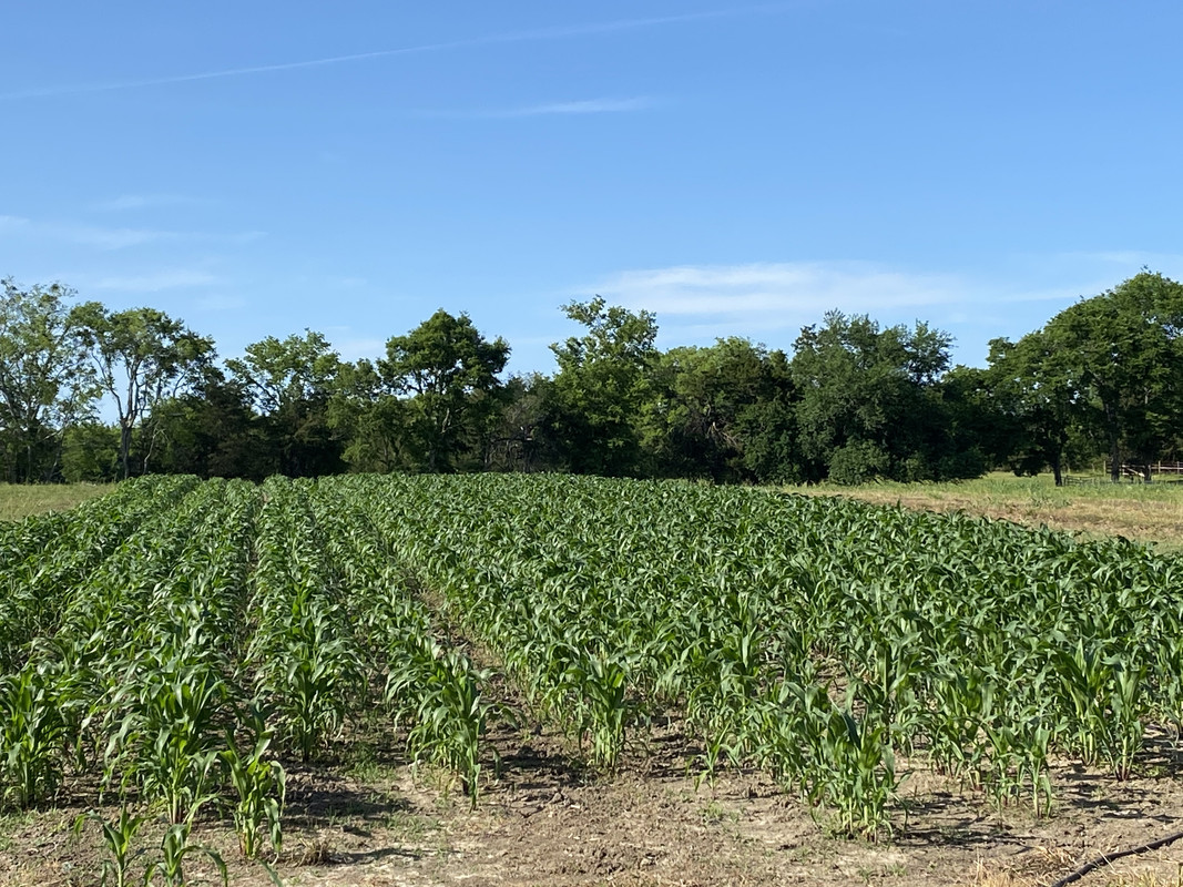 3E59DAB6-5DA1-47DC-A141-A393892CE5F3