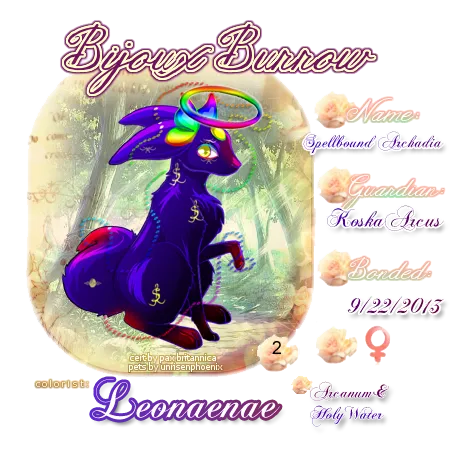User Image