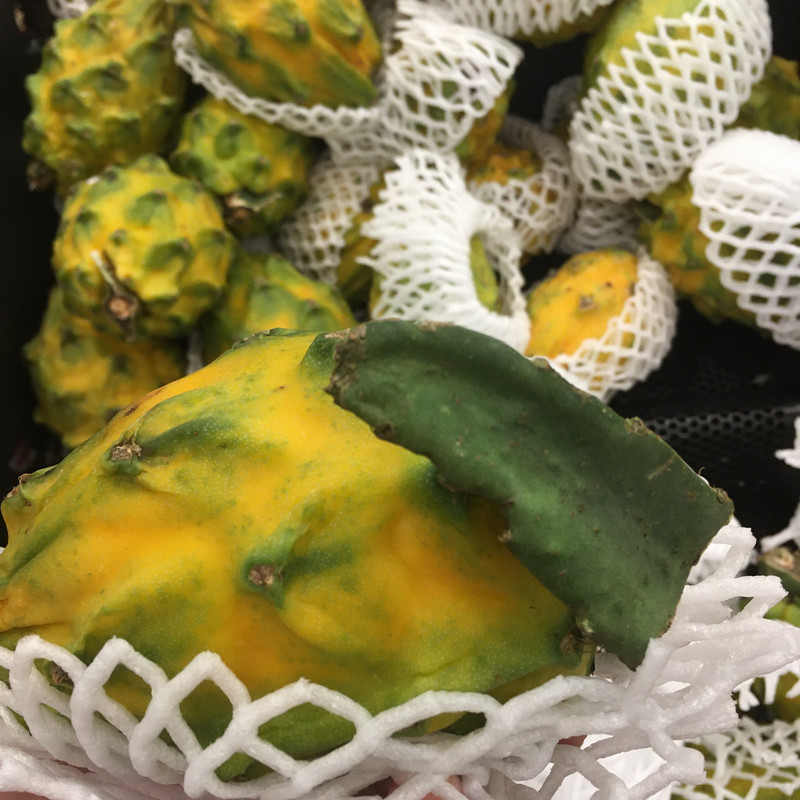 894AEDD3-5642-4316-B1A9-D0EE8D795128