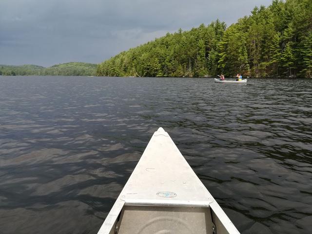 Parque Provincial de Algonquin - DOS SEMANAS EN EL ESTE DE CANADÁ (ONTARIO Y QUÉBEC) (6)