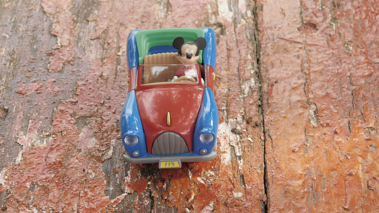 Дачное июль кудряшка , маус-машина и природа 034