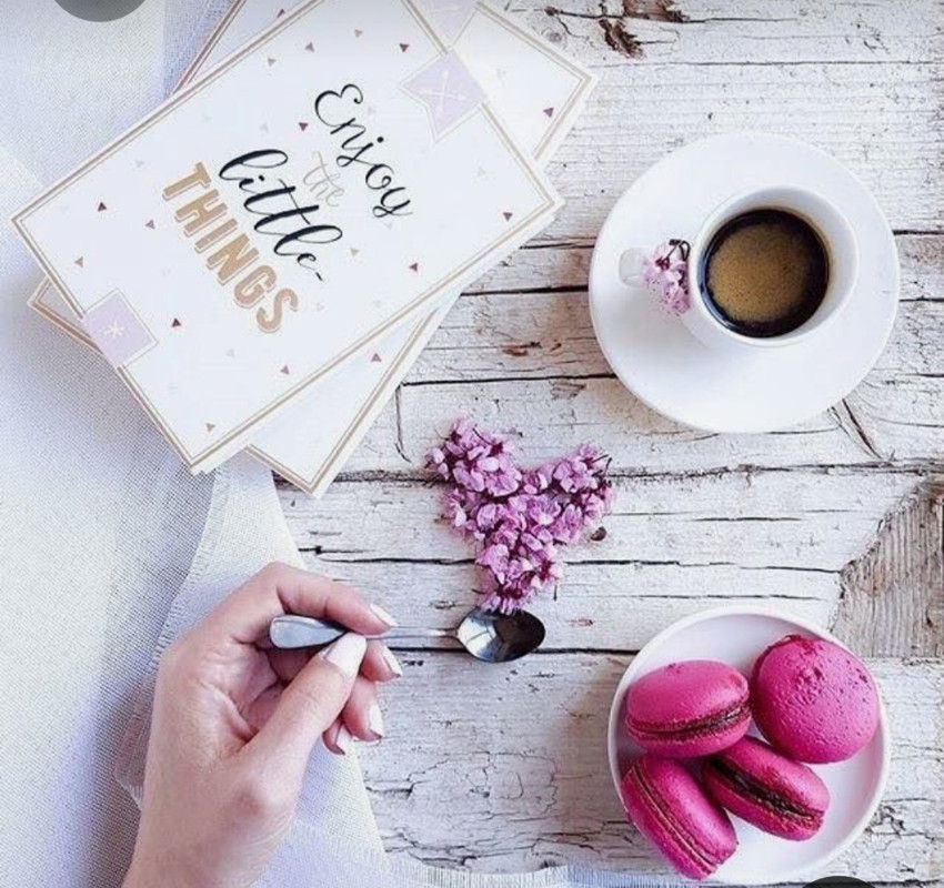 Screenshot_20230219_231127_Pinterest