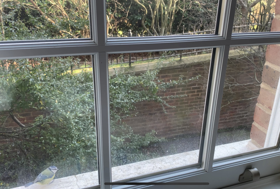 8E2F3440-30E4-4B0C-BDF5-235CAD0AD811