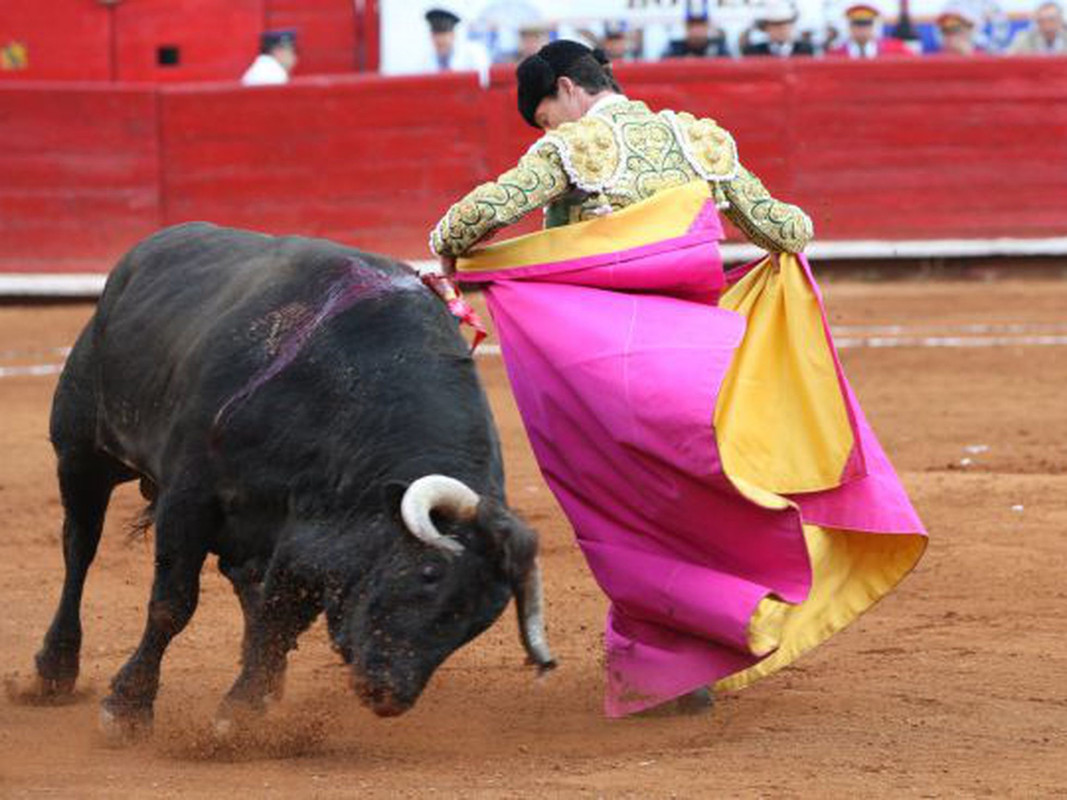 Diputada del PAN busca prohibir las corridas de toros en Puebla