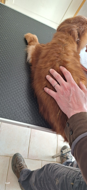 [Image: 20250307-153951.jpg]