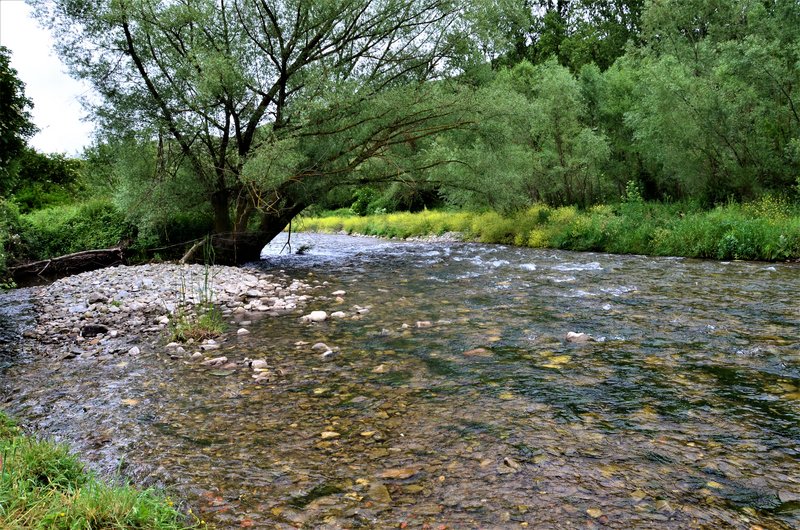 CAMINO DE SANTIAGO-23-6-2013-BELORADO - Paseando por España-1991/2016 (9)