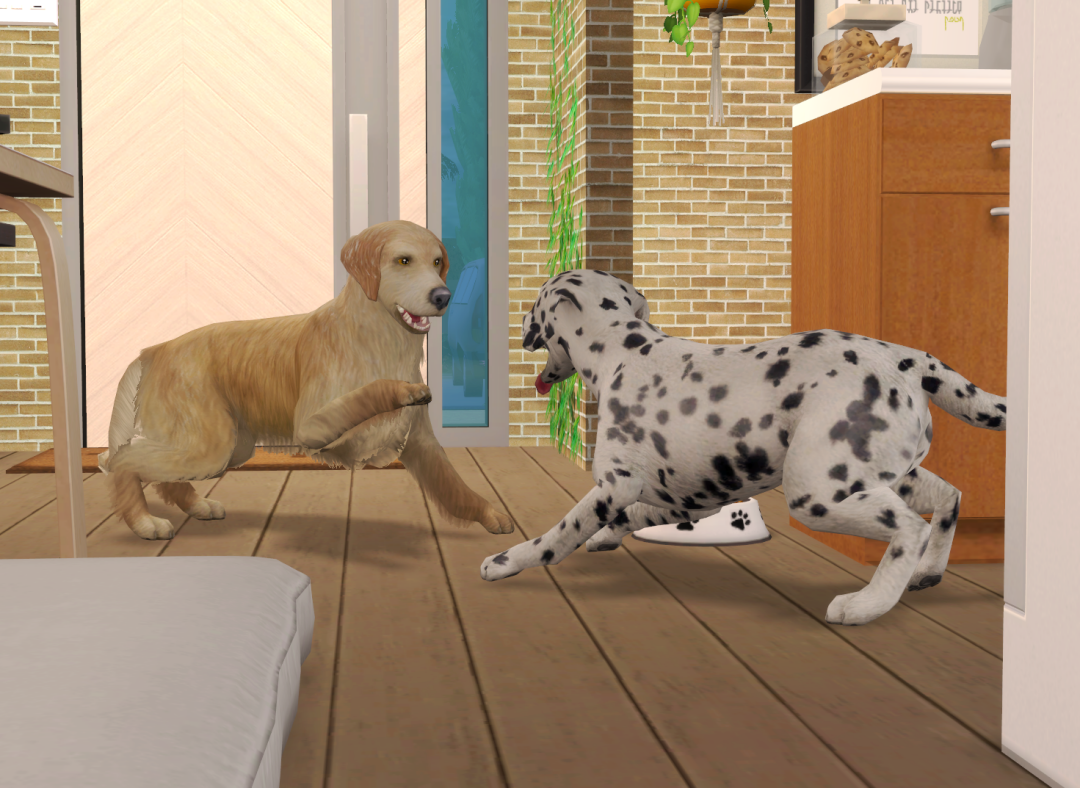 Sims2-EP9-RPC-2025-01-01-13-00-15-43