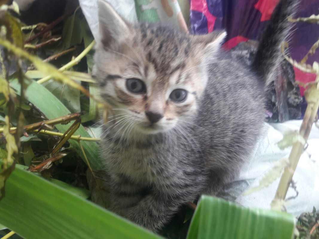 изображение_viber_2019-10-09_fff15-43-21