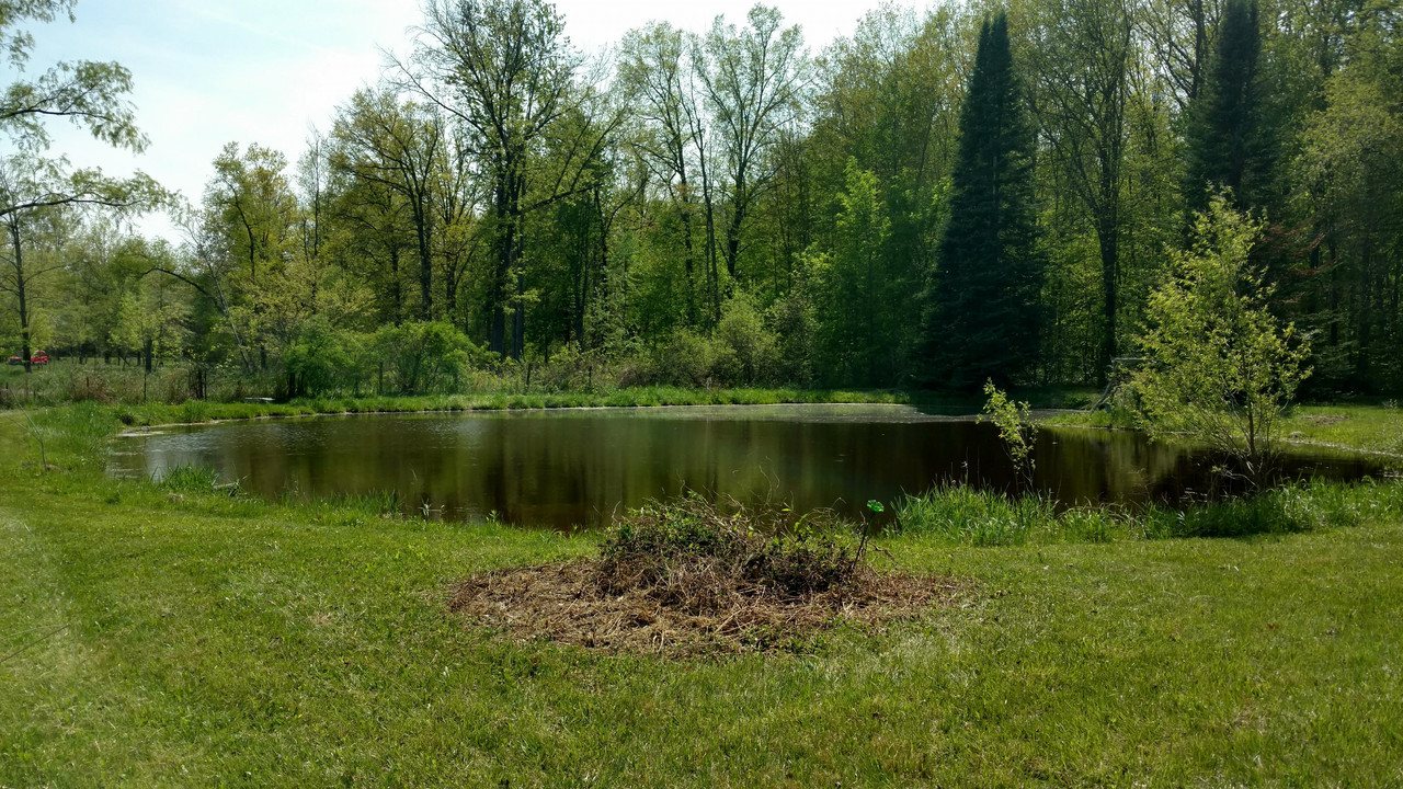 received_10216710474293082