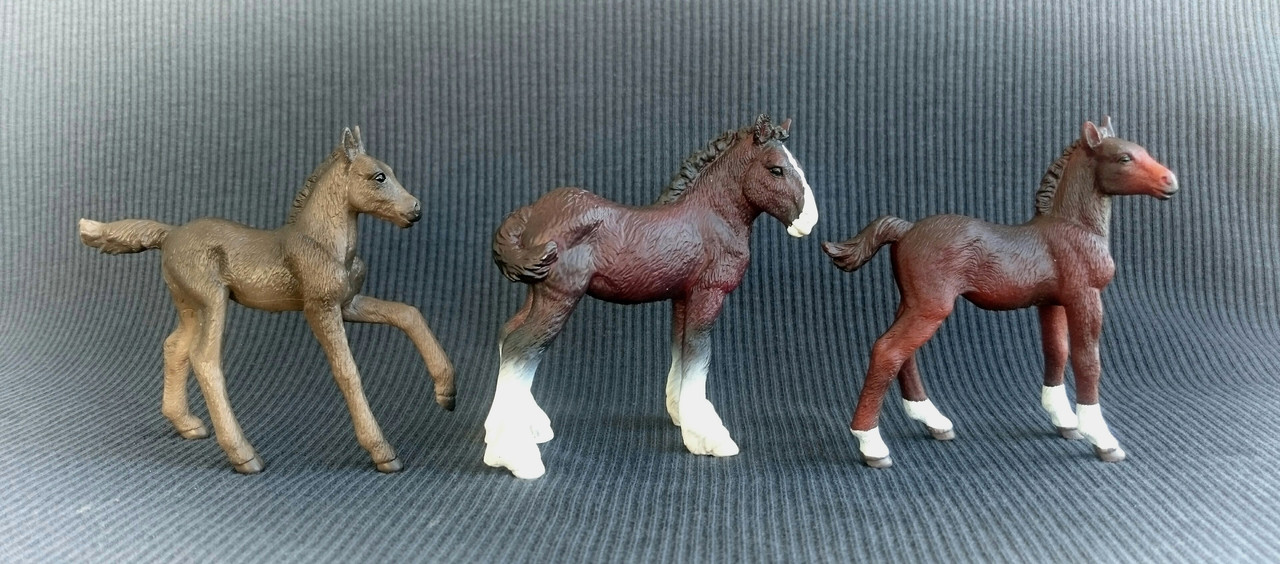 Mojo 2020 - 3 lovely  foals 20200627-113303