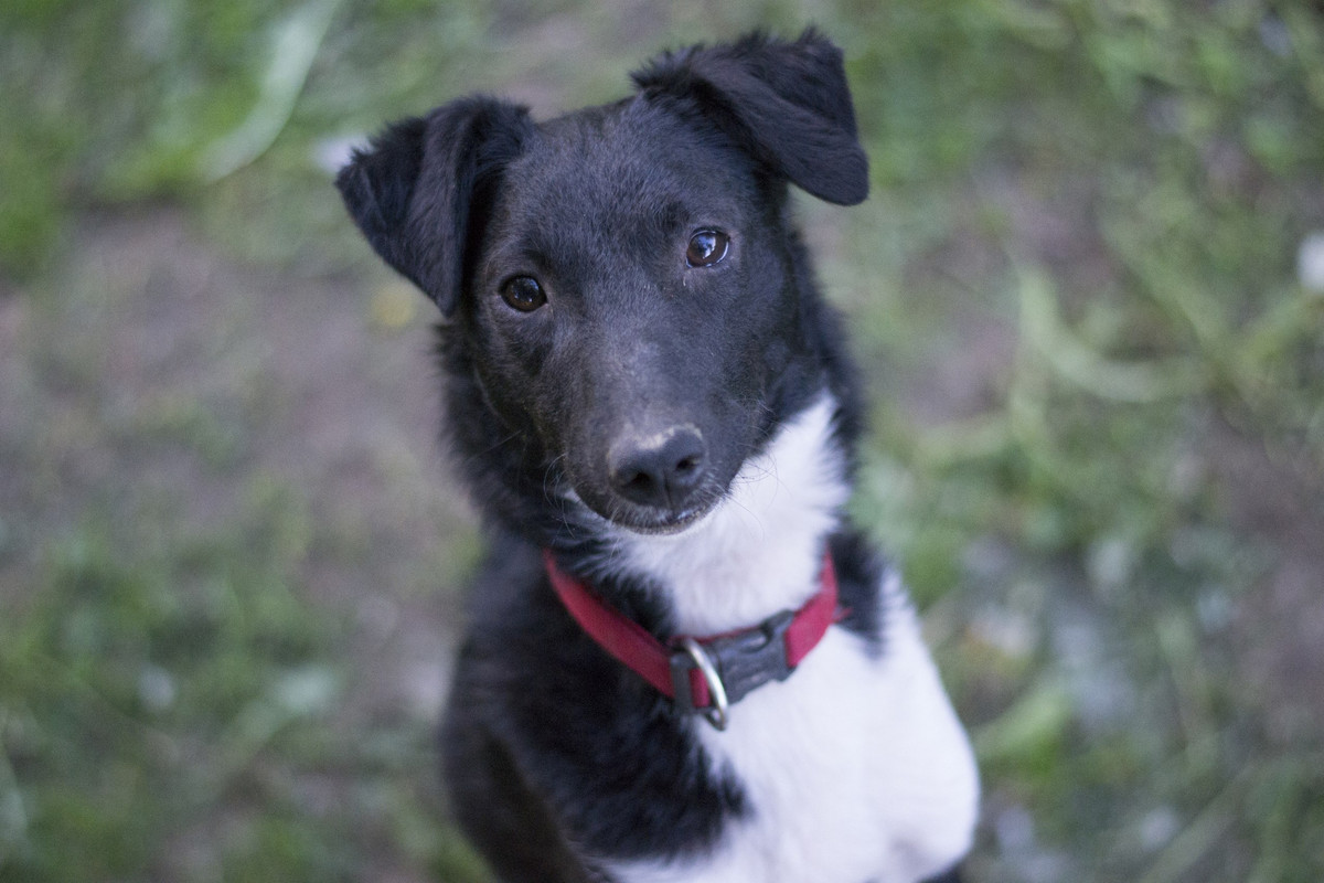 Дакота_06_18_25