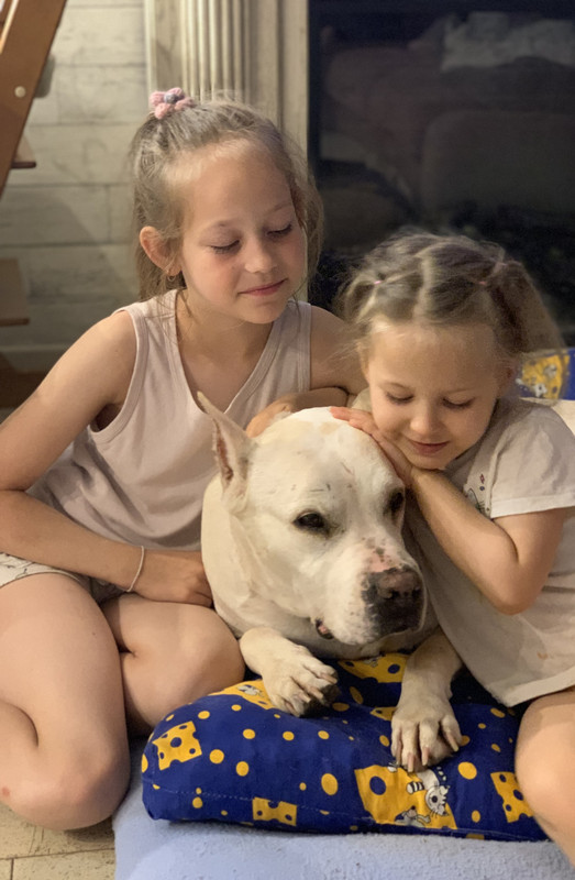 43D5C1BB-9086-4D85-8D06-BC3FCD792116