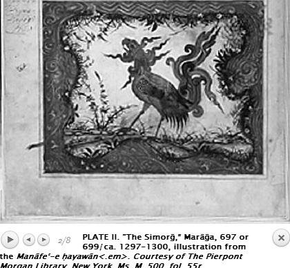 Senmurg-Mad-r.jpg