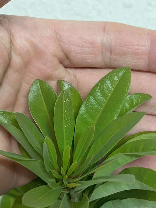 21AB567B-4A7D-446F-A953-79CB43ABB436