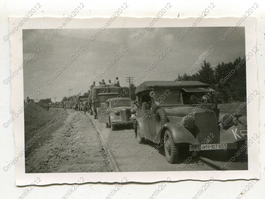 Foto, PKW, LKW, Kolonne mit Emblem 25.Inf.Div.(mot.) 25.Pz.Gren.Div.