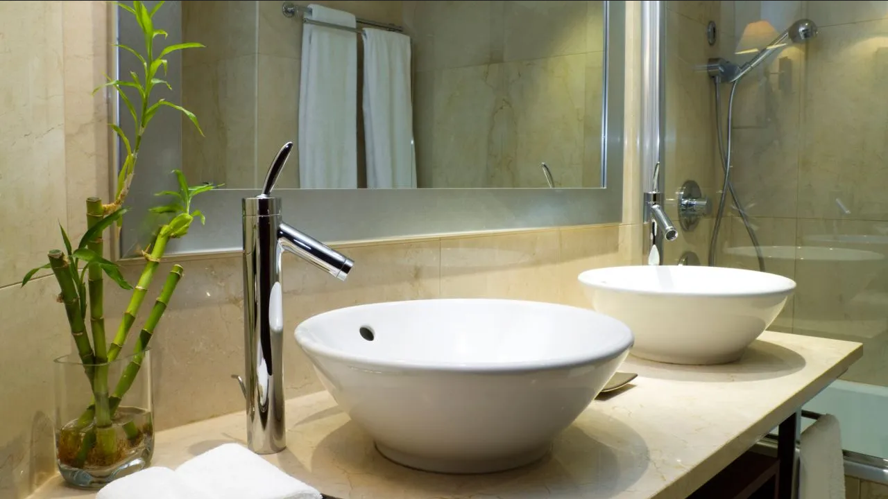 Evita la humedad en tu baño con estas plantas aromáticas